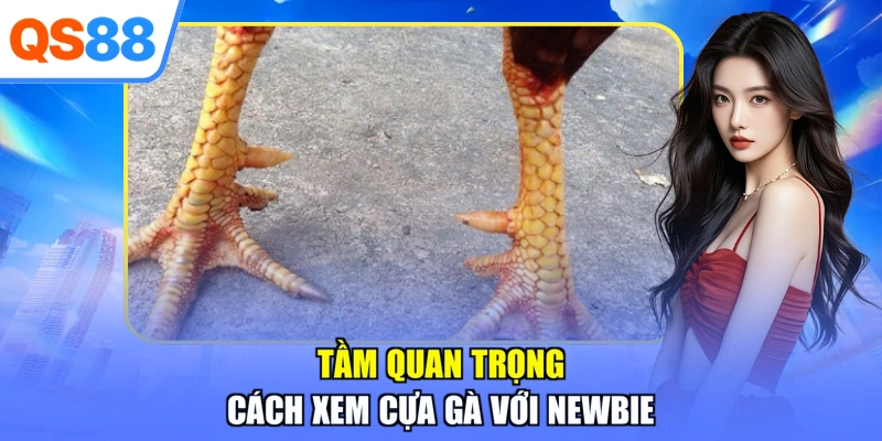 Tầm quan trọng cách xem cựa gà với newbie