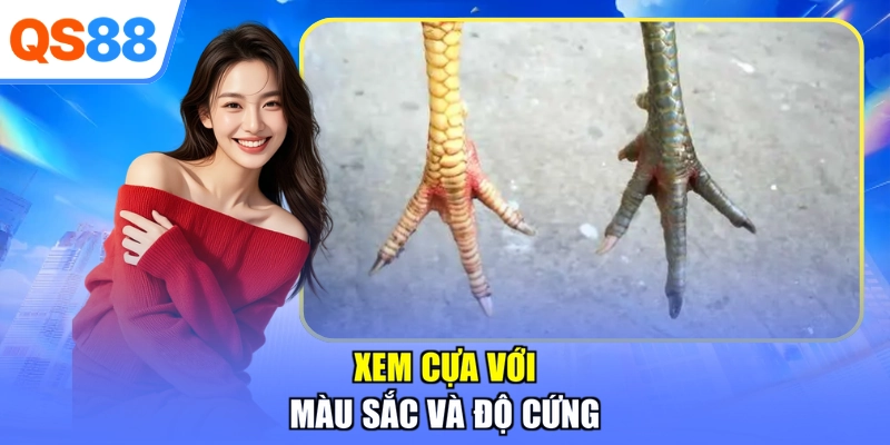 Xem cựa với màu sắc và độ cứng